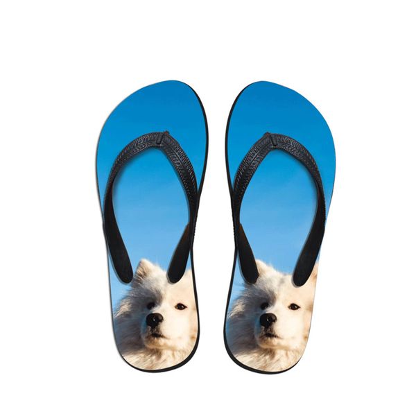fashion 2019 summer american eskimo dog print new arrival new flip flops beach for woman casual slippers sandals flats shoes, Black
fashion 2019 summer american eskimo dog print new arrival new flip flops beach for woman casual slippers sandals flats shoes, Black