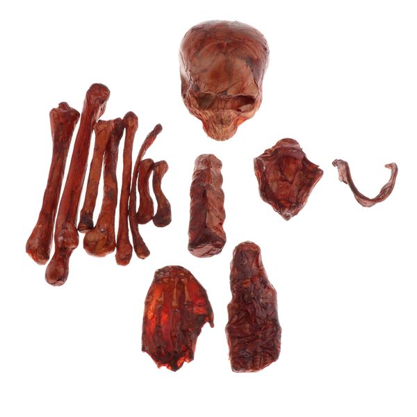 halloween simulation skull taro props human skeleton decorations ghost festival horror decoration
halloween simulation skull taro props human skeleton decorations ghost festival horror decoration