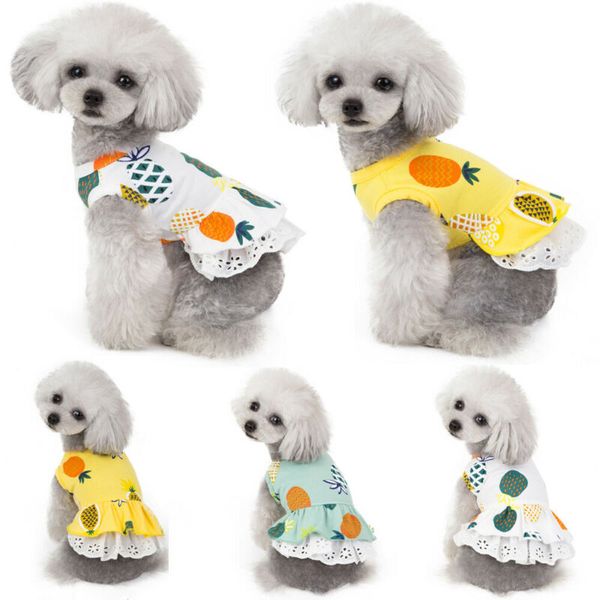 new fashion pet coat dog spring summer clothes puppy cat mini vest skirts clothing apparel cool summer cat dog skirt vest m-xl
new fashion pet coat dog spring summer clothes puppy cat mini vest skirts clothing apparel cool summer cat dog skirt vest m-xl