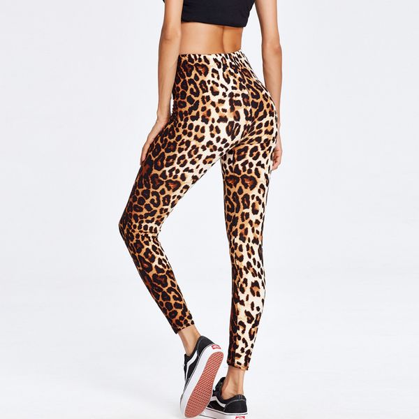 fitness legging woman clothes polyamide leopard high corduroy ankle-length standard cotton poly coolmax, Black
fitness legging woman clothes polyamide leopard high corduroy ankle-length standard cotton poly coolmax, Black