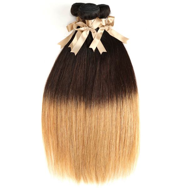 unprocessed brazilian straight ombre virgin hair 3 pcs straight human hair bundles ombre 3 tone hair extension 1b 4 27, Black
unprocessed brazilian straight ombre virgin hair 3 pcs straight human hair bundles ombre 3 tone hair extension 1b 4 27, Black
