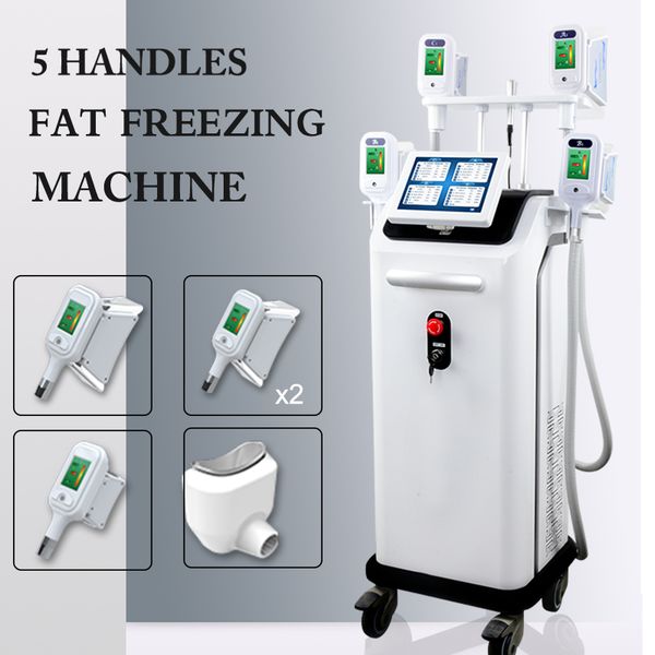 2020 новая машина cryolipolysis тучная замерзая cryotherapy уменьшая уменьшение машины тучное 5 ручек одобренный ce машины
2020 новая машина cryolipolysis тучная замерзая cryotherapy уменьшая уменьшение машины тучное 5 ручек одобренный ce машины