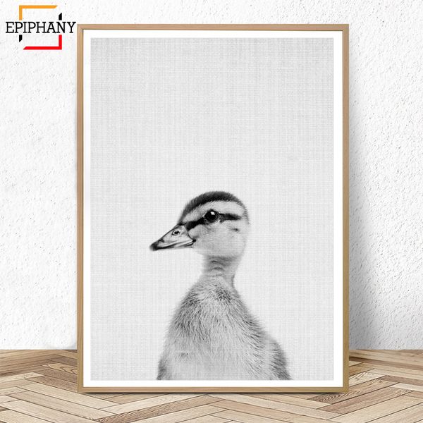 baby duck nursery animal wall art prints black and white animals poster modern minimalist farmhouse decor wall painting pictures
baby duck nursery animal wall art prints black and white animals poster modern minimalist farmhouse decor wall painting pictures