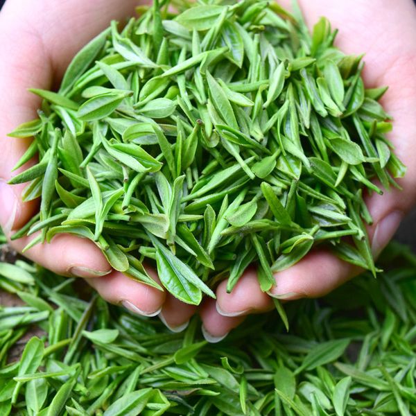 alpine mist tea 2019 new tea spring tea green leaf sunshine mountain green bulk fragrance flavor february 5 finished
alpine mist tea 2019 new tea spring tea green leaf sunshine mountain green bulk fragrance flavor february 5 finished