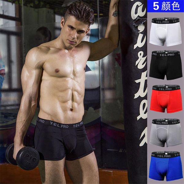 2018 new brand men shorts bodybuilding fitness basketballrunning workout jogger shorts golds designer mens son, White;black
2018 new brand men shorts bodybuilding fitness basketballrunning workout jogger shorts golds designer mens son, White;black