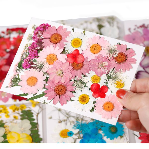 1 bag real dried flower material dyeing flower for epoxy resin pendant necklace jewelry making craft phone case diy accessories
1 bag real dried flower material dyeing flower for epoxy resin pendant necklace jewelry making craft phone case diy accessories