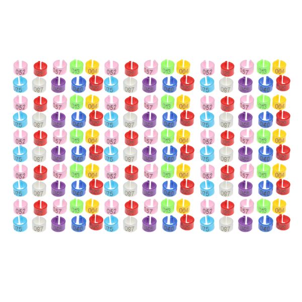 150pcs poultry leg bands bird chicks ducks chicken clip numbered leg band clips for poultry parrot racing pigeon
150pcs poultry leg bands bird chicks ducks chicken clip numbered leg band clips for poultry parrot racing pigeon