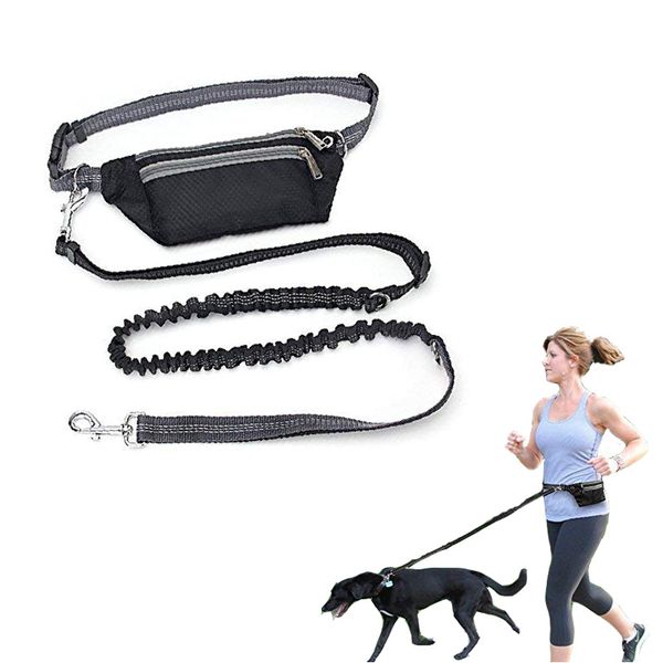 new dogs leash waist pocket waterproof hands multi function dog belt running product adjustable waist dog leashes dxqa16
new dogs leash waist pocket waterproof hands multi function dog belt running product adjustable waist dog leashes dxqa16