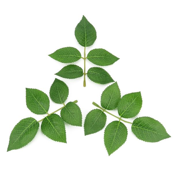 20pcs silk leaf green leaves artificial flower for wedding decoration diy wreath gift scrapbooking craft fake flower
20pcs silk leaf green leaves artificial flower for wedding decoration diy wreath gift scrapbooking craft fake flower