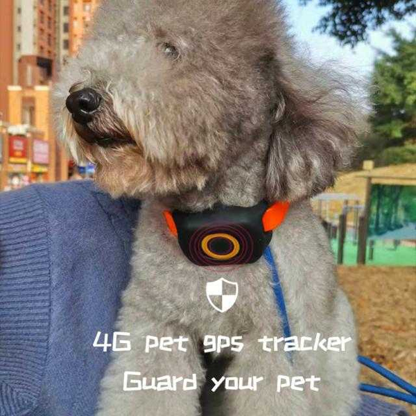 pet собака gps tracker в режиме реального времени отслеживать исторический трек безопасности забор sos собаки 3g 4g gsm locator
pet собака gps tracker в режиме реального времени отслеживать исторический трек безопасности забор sos собаки 3g 4g gsm locator