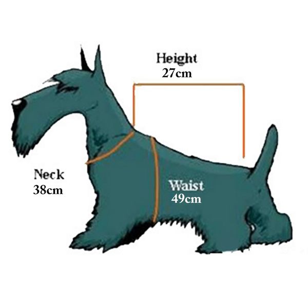 pet dog cat gentleman fashion suit butterfly wedding dress bow tie triangle fashion decorative cotton dog kerchief pet bandana dog apparel
pet dog cat gentleman fashion suit butterfly wedding dress bow tie triangle fashion decorative cotton dog kerchief pet bandana dog apparel
