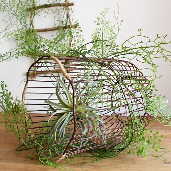 black-bone awn artificial flower green plant winding vine fern fern adiantum decorative landscaping
black-bone awn artificial flower green plant winding vine fern fern adiantum decorative landscaping