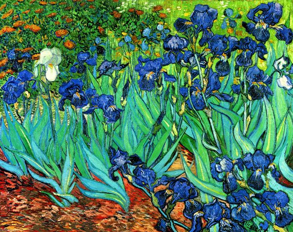 van gogh irises fine art home wall art decor handcrafts /hd print oil painting on canvas wall art canvas pictures 190901
van gogh irises fine art home wall art decor handcrafts /hd print oil painting on canvas wall art canvas pictures 190901
