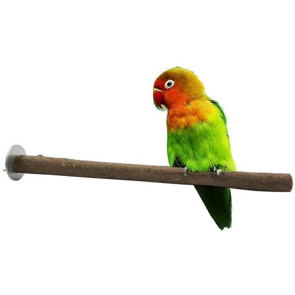 the bird's nest gripper rod cage stand bar bird bar bird pedal parrot raw wood bring leather stand bar
the bird's nest gripper rod cage stand bar bird bar bird pedal parrot raw wood bring leather stand bar
