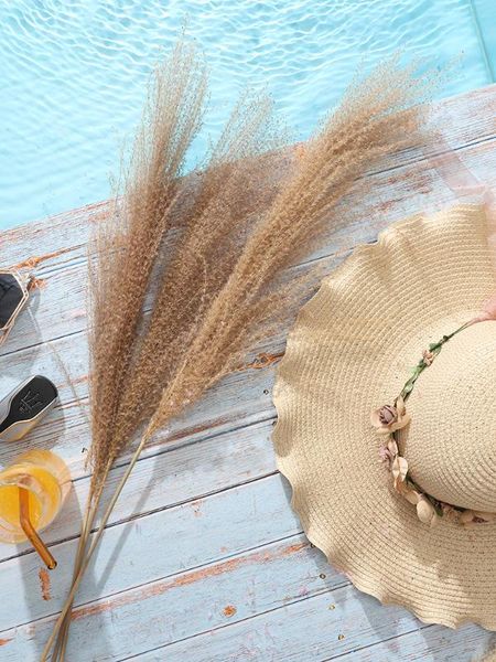 20 pcs pampas grass decor wedding natural phragmites real dried pampas grass reed plants home decoration flower bunch 60cm long
20 pcs pampas grass decor wedding natural phragmites real dried pampas grass reed plants home decoration flower bunch 60cm long