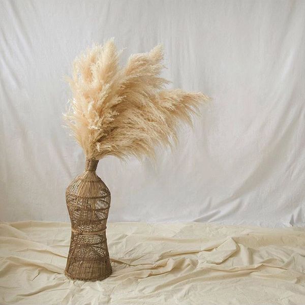 natural plant reed dry flower literary flower arrangement wedding homestay home furnishing shop window l soft decoration
natural plant reed dry flower literary flower arrangement wedding homestay home furnishing shop window l soft decoration