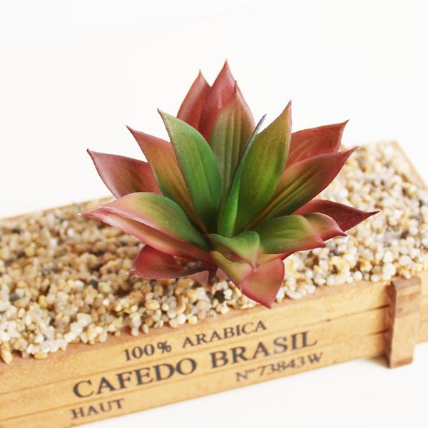 european style simulation succulents plants ornament for family wedding cafe house agave
european style simulation succulents plants ornament for family wedding cafe house agave