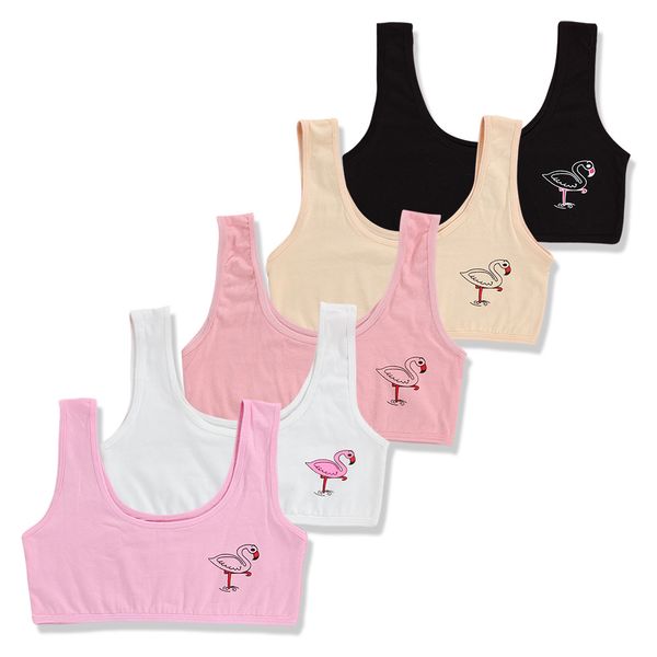 kids cotton sprots training bra children underwear neckline teenage puberty vest, Blue
kids cotton sprots training bra children underwear neckline teenage puberty vest, Blue