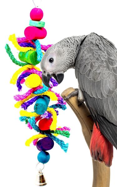parrot gnaw toys bird toys sisal rope cotton rope cylinder gnawing string
parrot gnaw toys bird toys sisal rope cotton rope cylinder gnawing string