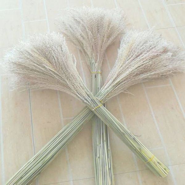 brand new 30-90cmnatural air-dried reed bunch bouquet flower arrangement wedding holiday party family table decoration art decoration
brand new 30-90cmnatural air-dried reed bunch bouquet flower arrangement wedding holiday party family table decoration art decoration