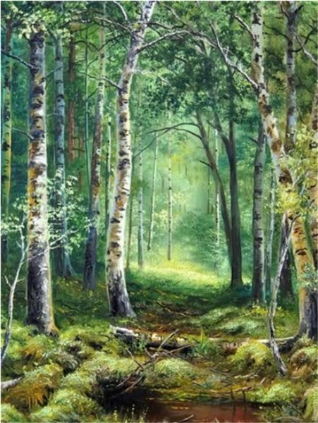 5d diamond embroidery landscape forest diy diamond painting cross stitch kit resin full round&square diamond mosaic home decor gift bb0994
5d diamond embroidery landscape forest diy diamond painting cross stitch kit resin full round&square diamond mosaic home decor gift bb0994