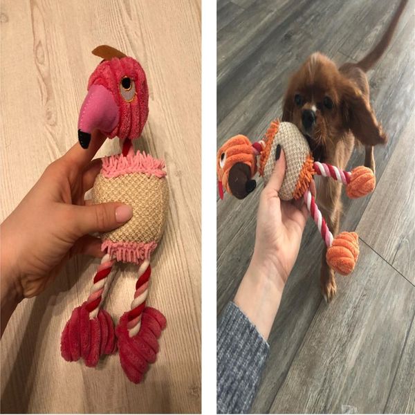 pet dog toys funny playing bird pet cat lovely voice sound squeaky plush soft cuddly puppy interactive toys for large small dogs
pet dog toys funny playing bird pet cat lovely voice sound squeaky plush soft cuddly puppy interactive toys for large small dogs