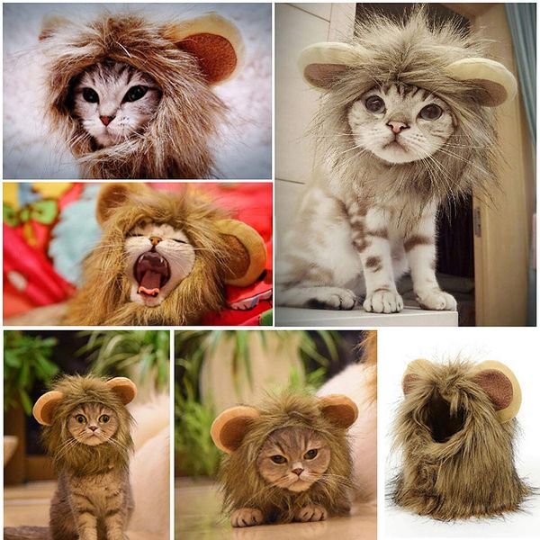 cats clothes lion mane cat costume lion hair wig cap dog costumes for small dogs christmas halloween pet costumes pet products
cats clothes lion mane cat costume lion hair wig cap dog costumes for small dogs christmas halloween pet costumes pet products