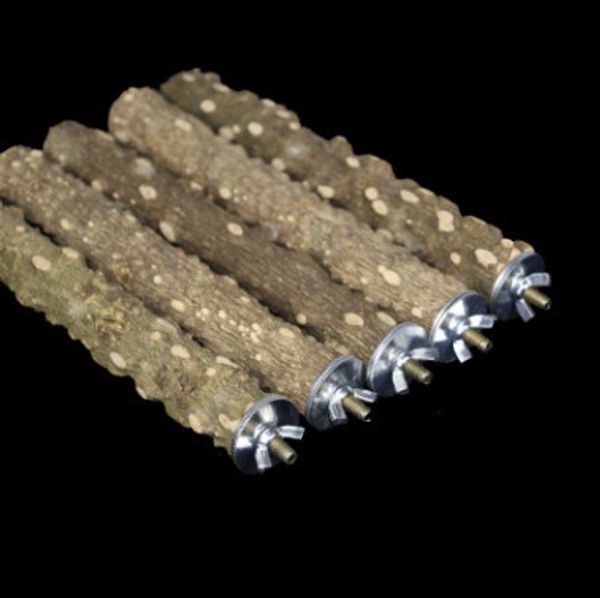 gripper stick chinese prickly ash wooden stand bird matting good chinese prickly ash wooden bar chinese prickly ash wood a molar tooth
gripper stick chinese prickly ash wooden stand bird matting good chinese prickly ash wooden bar chinese prickly ash wood a molar tooth