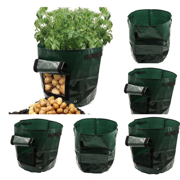 5pcs 5 gallon garden vegetables potato grow bags with access flap sturdy
5pcs 5 gallon garden vegetables potato grow bags with access flap sturdy