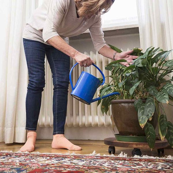 rolling wooden planter caddy potted plant stand with wheels round flower pot rack indoor outdoor planter trolley with 360 degree
rolling wooden planter caddy potted plant stand with wheels round flower pot rack indoor outdoor planter trolley with 360 degree