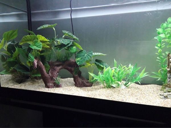 saim artificial aquarium plants fish tank ornament imitation roots driftwood trunk aquarium wood natural plants fish tank decor
saim artificial aquarium plants fish tank ornament imitation roots driftwood trunk aquarium wood natural plants fish tank decor