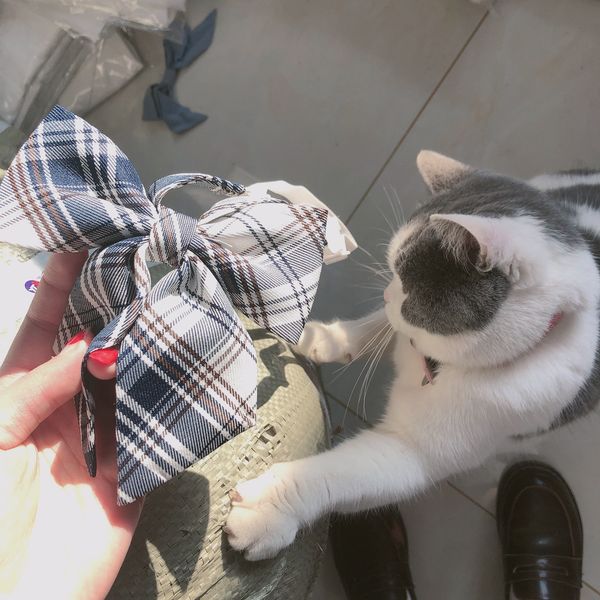 original tidal jk uniforms sailor boxer bow tie hane hole-tie orthodox bow plaid, Black;gray
original tidal jk uniforms sailor boxer bow tie hane hole-tie orthodox bow plaid, Black;gray