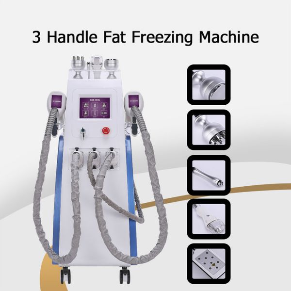 замораживание жира cryolipolysis потери частоты обработки машины льего лазер для похудения радио вч весового оборудования для похудения маши
замораживание жира cryolipolysis потери частоты обработки машины льего лазер для похудения радио вч весового оборудования для похудения маши