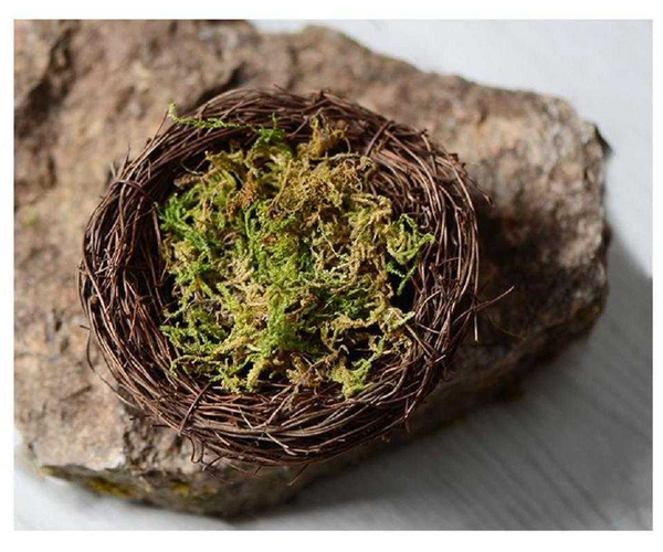 100g dry bryophyte natural green bryophyte dry moss water flower wreath material small pot decoration
100g dry bryophyte natural green bryophyte dry moss water flower wreath material small pot decoration