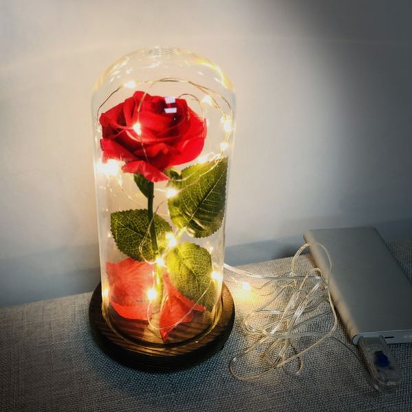usb interface 8 function with light feel rose glass cover decoration led night light birthday valentine gift mother's day gift
usb interface 8 function with light feel rose glass cover decoration led night light birthday valentine gift mother's day gift
