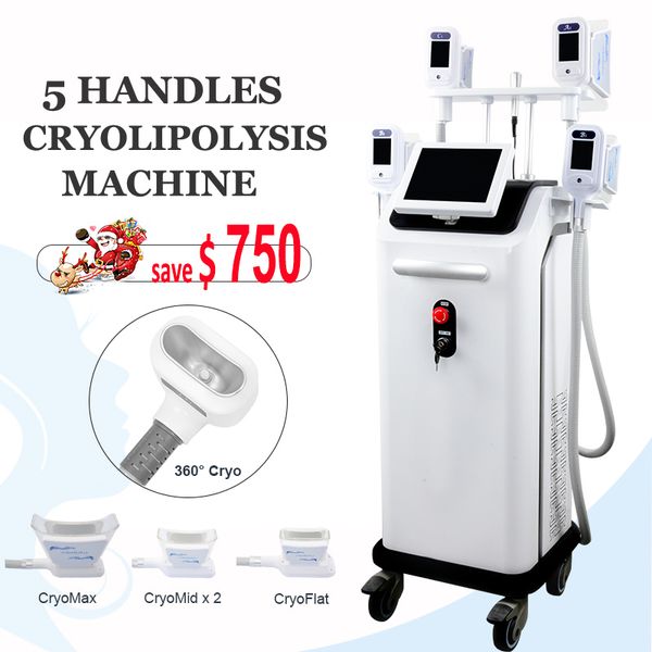 2019 cryo machine e fat body cellulite removal cryolipolysis cool shaping therapy 4 handles work simultaneously spa slimming equipment
2019 cryo machine e fat body cellulite removal cryolipolysis cool shaping therapy 4 handles work simultaneously spa slimming equipment