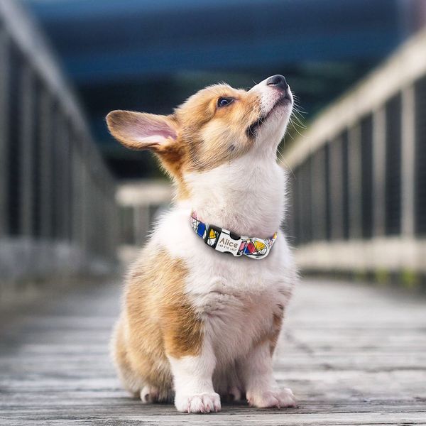 dog collar personalized nylon customized pet id tag colllar engraved nameplate puppy dogs collars pets accessories for beagle
dog collar personalized nylon customized pet id tag colllar engraved nameplate puppy dogs collars pets accessories for beagle