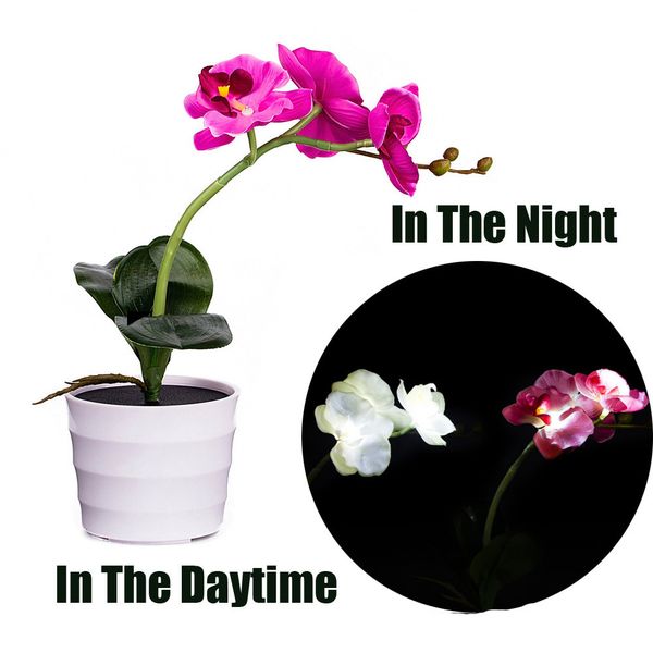 solar blue silk flowers butterfly flower lights led artificial pot flower bonsai led lamp wreath peony fiori artificiali
solar blue silk flowers butterfly flower lights led artificial pot flower bonsai led lamp wreath peony fiori artificiali