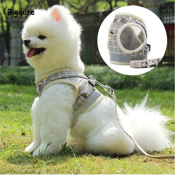 pet dog cat leash harness set adjustable vest walking supplies reflective harness mesh breathable collar puppy chihuahua dogs
pet dog cat leash harness set adjustable vest walking supplies reflective harness mesh breathable collar puppy chihuahua dogs