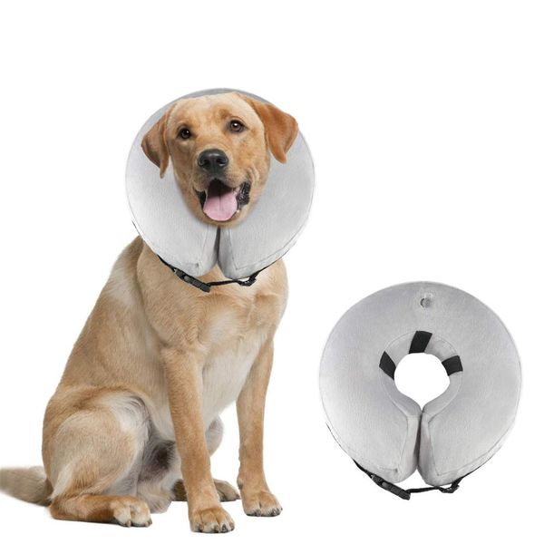 collare catena cane solid color dog collar for dogs new pet products adjustable pet products for dog supplies cat d20
collare catena cane solid color dog collar for dogs new pet products adjustable pet products for dog supplies cat d20