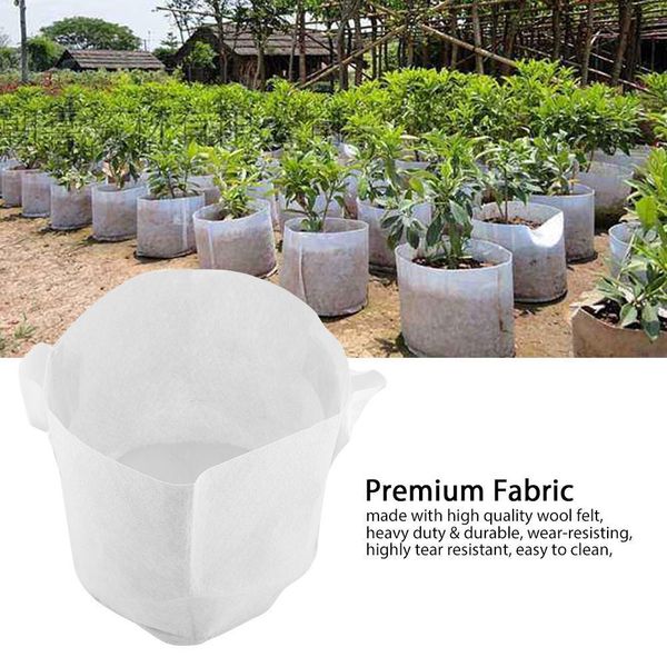 10 size option non-woven fabric reusable soft-sided highly breathable grow pots planting bag with handles price large flower planter
10 size option non-woven fabric reusable soft-sided highly breathable grow pots planting bag with handles price large flower planter