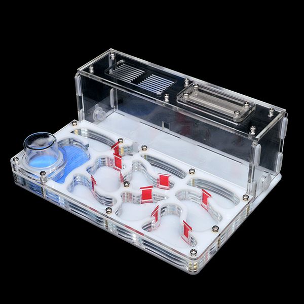 new diy acrylic ant nest large flat ant farm with feeding area big ant house for pet anthill with workshop castle 15*20*7.5cm
new diy acrylic ant nest large flat ant farm with feeding area big ant house for pet anthill with workshop castle 15*20*7.5cm