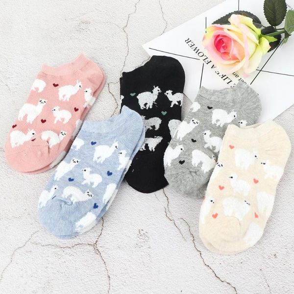 cozy cotton short ankle invisible tiny alpacas love hearts socks zoo animal llama like fluffy sheep comfortable 5 colors, Black;white
cozy cotton short ankle invisible tiny alpacas love hearts socks zoo animal llama like fluffy sheep comfortable 5 colors, Black;white
