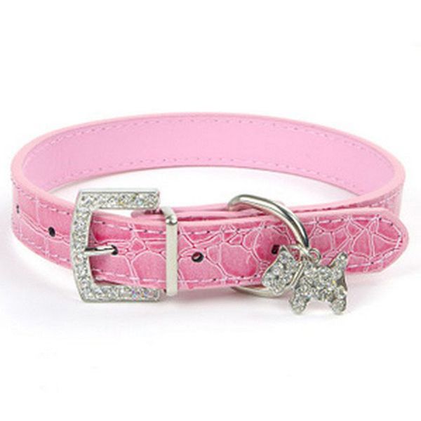 1pcpu leather dog collar for small dogs pets accessories chien pinch collar for dogs leash pet supplies perros mascotas cachorro
1pcpu leather dog collar for small dogs pets accessories chien pinch collar for dogs leash pet supplies perros mascotas cachorro