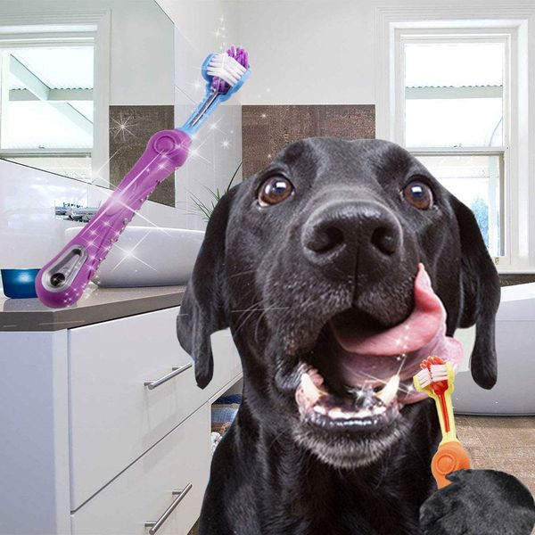 three-sided pet dog toothbrush puppy multi-angle toothbrush cleaning oral dog dental health grooming supplies ing
three-sided pet dog toothbrush puppy multi-angle toothbrush cleaning oral dog dental health grooming supplies ing