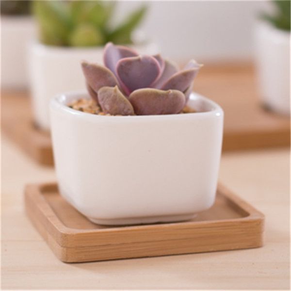 суккуленты мясистые горшок pure color ceramics letter love simple small горшки главная украшения сада новое прибытие 1 78fy e1
суккуленты мясистые горшок pure color ceramics letter love simple small горшки главная украшения сада новое прибытие 1 78fy e1