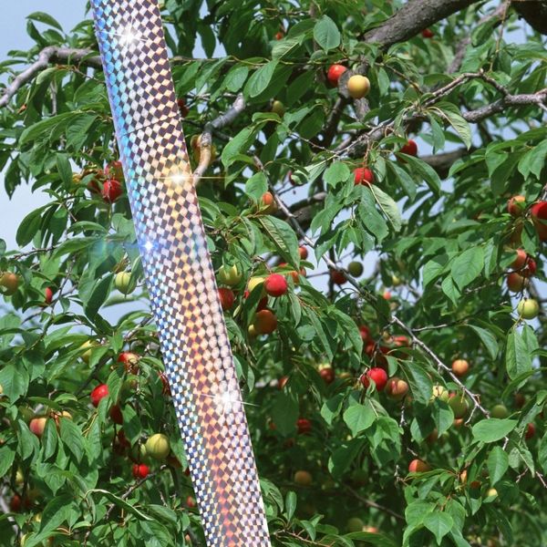 bird scare tape anti bird tape dual-sided reflective deterrent scare tape for birds fox pigeons repeller ribbon tapes other garden supplies
bird scare tape anti bird tape dual-sided reflective deterrent scare tape for birds fox pigeons repeller ribbon tapes other garden supplies