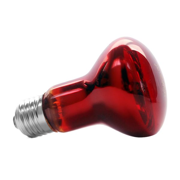 e27 reptile heating bulb aquarium reptiles amphibians animal infrared heat glass red lights 25w
e27 reptile heating bulb aquarium reptiles amphibians animal infrared heat glass red lights 25w