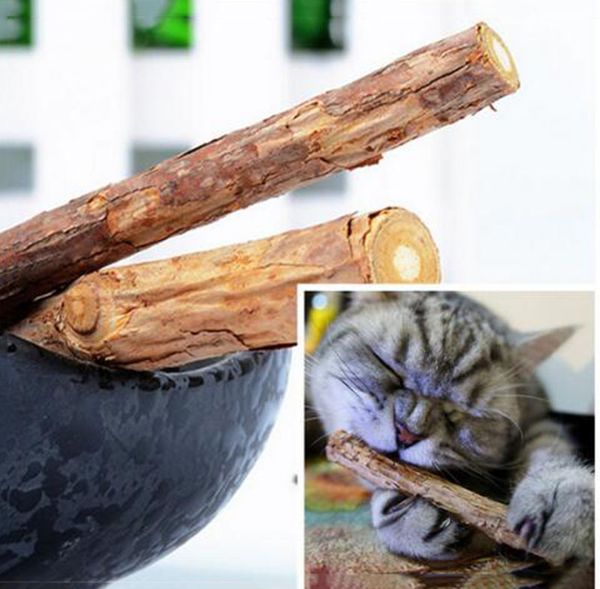 новый дизайн catnip silvervine зубы палочки кошки стоматологическое здоровье палочки домашние животные catnip продукты деревянные игрушки ко
новый дизайн catnip silvervine зубы палочки кошки стоматологическое здоровье палочки домашние животные catnip продукты деревянные игрушки ко