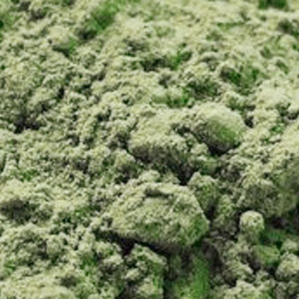 499g натуральный матча чай порошок pure organic портативный мини матча порошок зеленого чая профессиональный kitchenpaper сумки пакетик чая
499g натуральный матча чай порошок pure organic портативный мини матча порошок зеленого чая профессиональный kitchenpaper сумки пакетик чая
